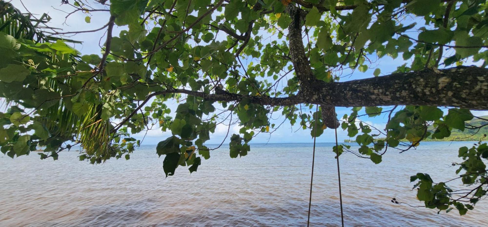 Fare Mama Rota - Au Bord De L'Ocean Villa Taputapuapea Bagian luar foto